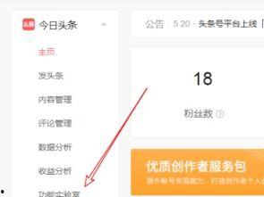 可以进入头条小店的游戏,精选热门游戏，尽享指尖乐趣