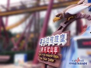 明星玩音乐过山车,过山车般的音乐狂欢