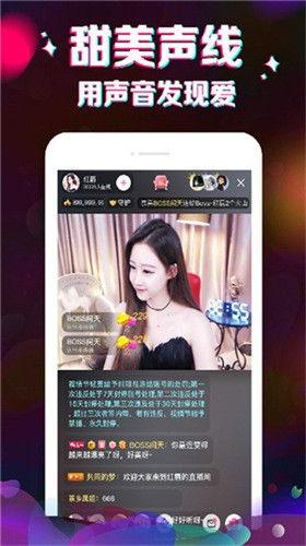 开封头条小猫视频直播,萌态可掬引网友热议