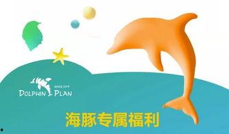 微头条新手入门基础,掌握基础，轻松开启内容创作之旅