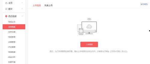如何通过视频看头条收益,揭秘高效赚钱新途径