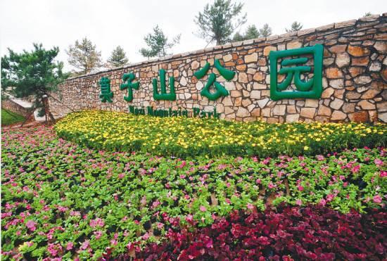 今日头条莫子山公园,城市绿肺中的休闲乐园，探寻自然与都市的和谐共生