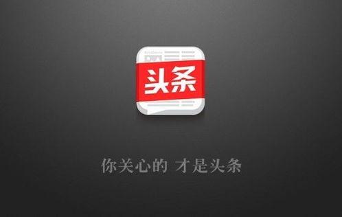 头条上的音频有哪些内容,热门话题深度解析
