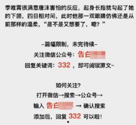 明星小黄文全文阅读,小黄文背后的明星秘闻