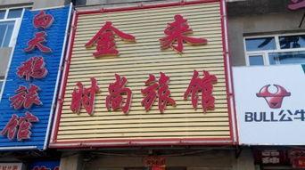 网红金来,网红界的璀璨明星，揭秘他的爆红之路