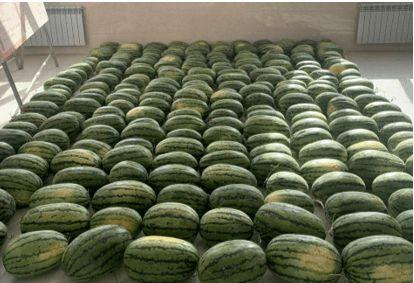 泉州最新吃瓜新闻,最新吃瓜新闻揭秘，事件背后真相令人咋舌