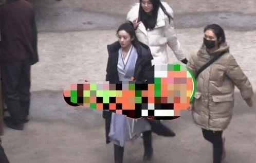 云朵明星回家,一场梦幻般的家庭盛宴