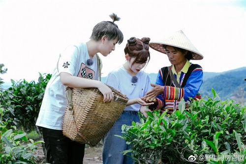 野生厨房参与明星,明星齐聚，共赴自然盛宴