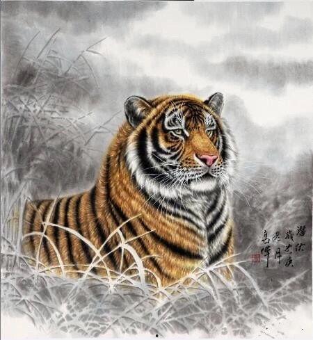 香港明星画虎图片,虎啸山林画意盎然