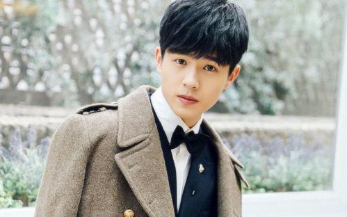 什么哲的明星,揭秘明星背后的哲学智慧