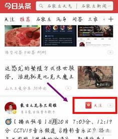 头条每日关注数上限,揭秘关注上限背后的秘密