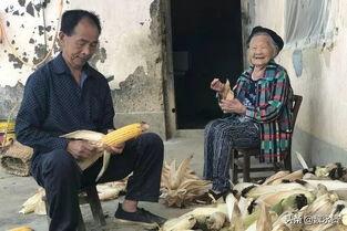 武都吃瓜网红事件始末视频,揭秘网络舆论的风暴与真相