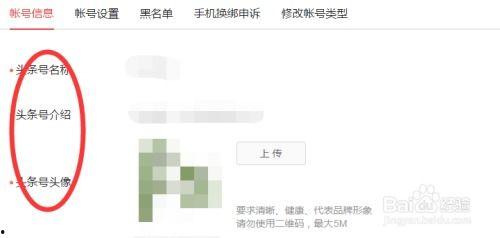 如何查询头条的消息详情,轻松获取深度资讯！”