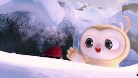 搞笑吃瓜生活视频素材