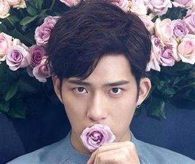 香港名字带驹明星