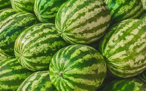 吃瓜还是吃席,揭秘娱乐圈的幕后真相