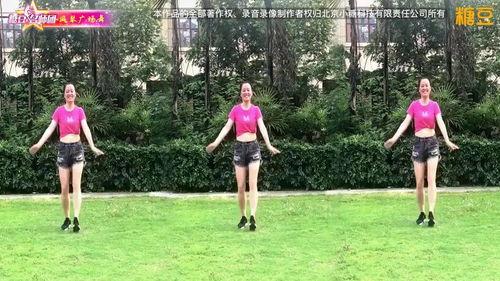 网红风琴,潮流音乐新宠，指尖上的艺术盛宴