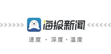 近期宁阳新闻头条号,聚焦城市发展新动态，共绘美好未来蓝图