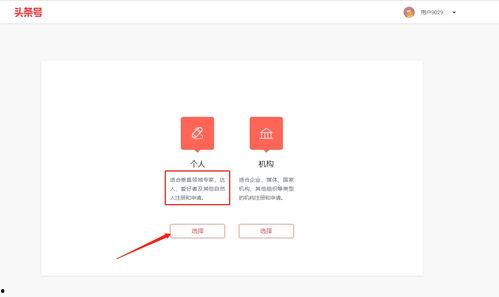 头条认证后台没有收益,揭秘收益生成背后的秘密与解决方案”