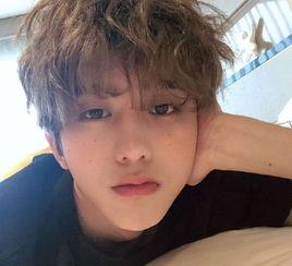 蔡徐坤直播爆料回放视频,独家爆料背后的故事与幕后真相