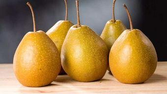 吃梨可以吃小瓜吗,探索梨与瓜的完美搭配