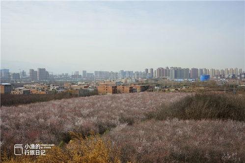 西安大府井今日头条