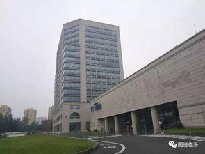 今日头条临汾号码,探寻临汾地区通讯发展脉络”