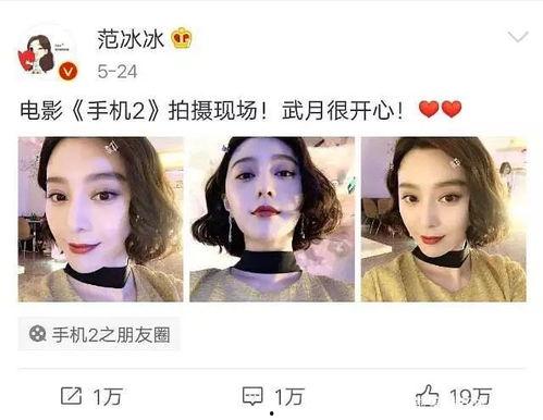 娱乐圈今日吃瓜小说推荐